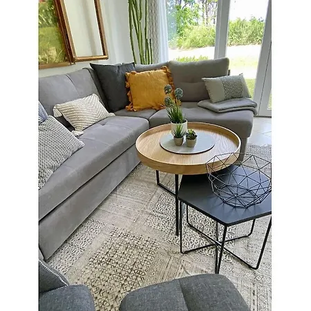Dune Comfortable