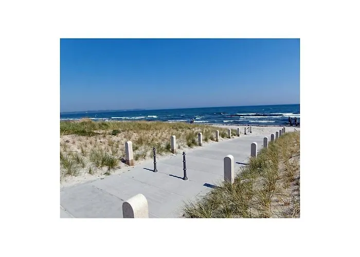 Dune Comfortable *